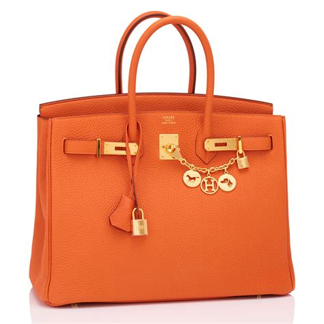 borsa tipo hermes birkin|hermes birkin handbags review.